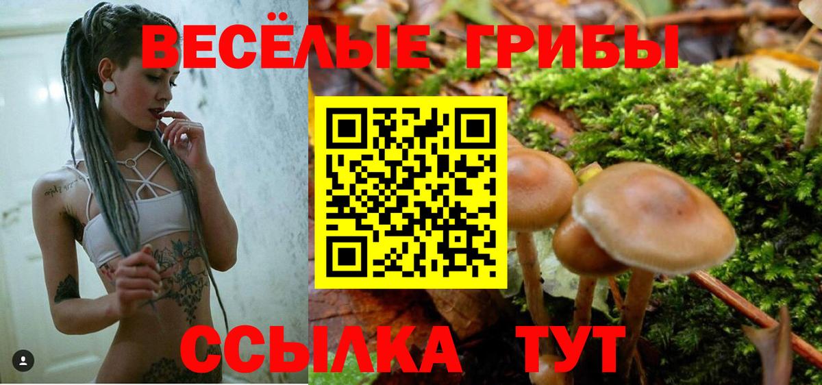 Чебаркуль  Псилоцибиновые грибы Magic Shrooms  Вход с VPN 